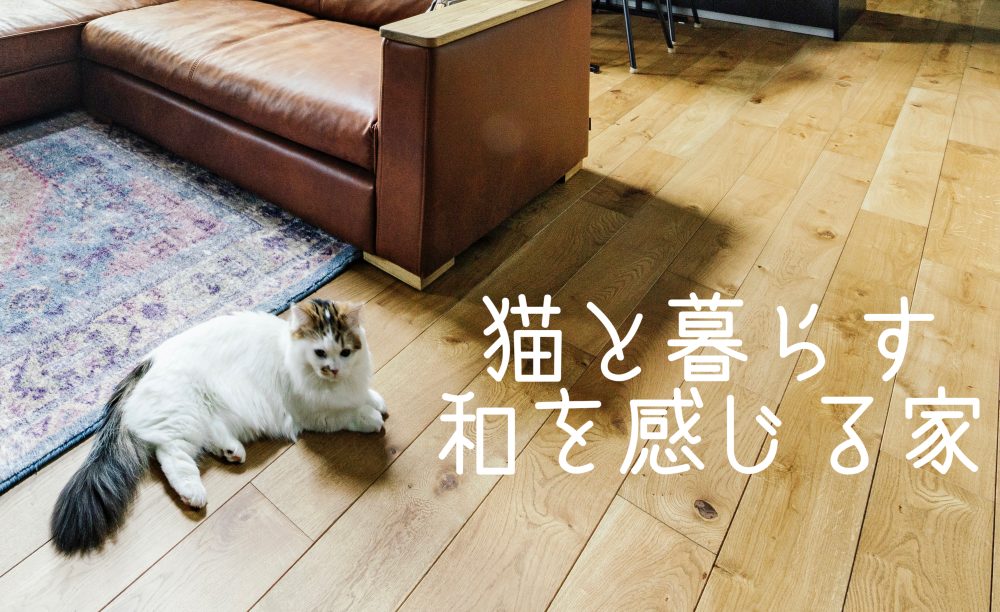 猫と暮らす“和”を感じる家