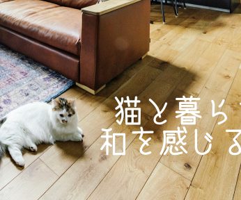 猫と暮らす“和”を感じる家