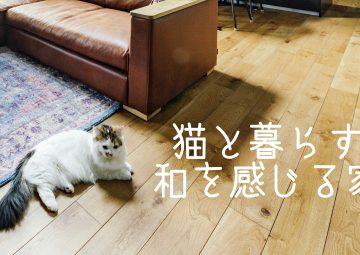 猫と暮らす“和”を感じる家